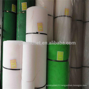 Chine usine HDPE Turf treillis de renfort